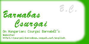 barnabas csurgai business card